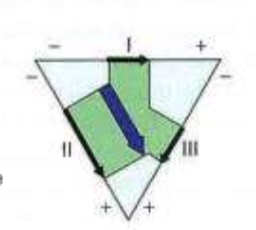 <p>This net dipole belongs to which of the following?</p><p>a. Q wave</p><p>b. S wave</p><p>c. ST segment</p><p>d. R wave</p>