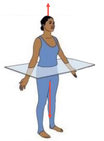 <p>plane &amp; axis</p>