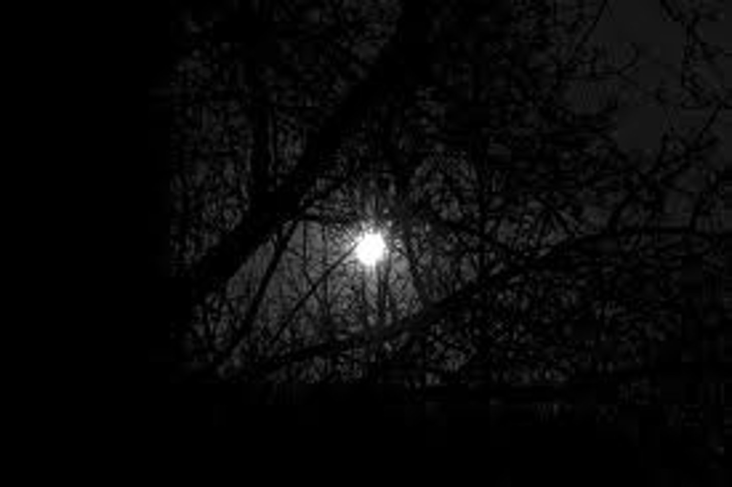 <p>darks</p>