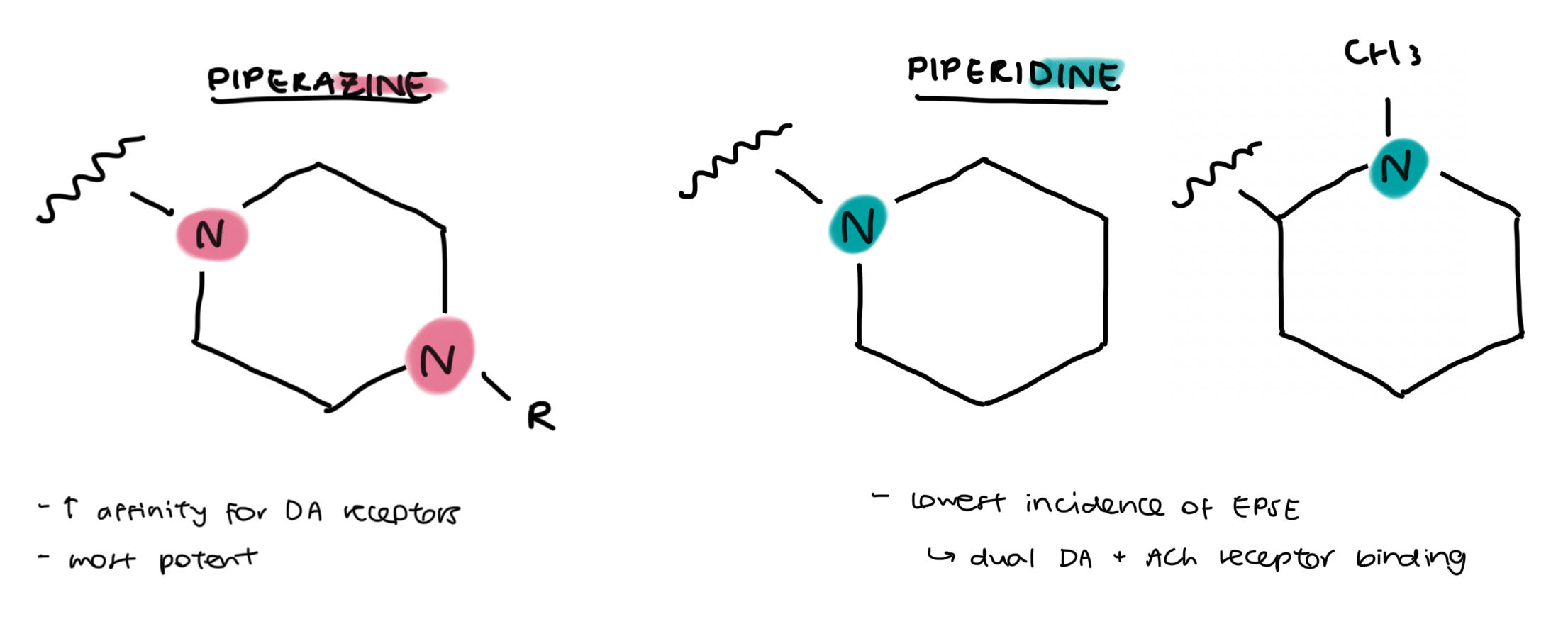 <ul><li><p><u>piperazine</u> based drugs possess the highest affinity for dopamine receptors and are the <strong>most</strong> <strong>potent </strong>antipsychotics</p><ul><li><p>piperazine &gt; piperidines &gt; alkylamines</p></li></ul></li><li><p><u>piperazine</u> based drugs also possess the lowest affinities for other receptors (ACh, H1 and a-1) → hence less likely to induce sedation + orthostatic hypotension</p></li><li><p><u>piperi</u><em><u>dine</u></em> based drugs have lowest incidence of EPSE due to their dual DA and ACh receptor activities</p></li></ul><p></p>