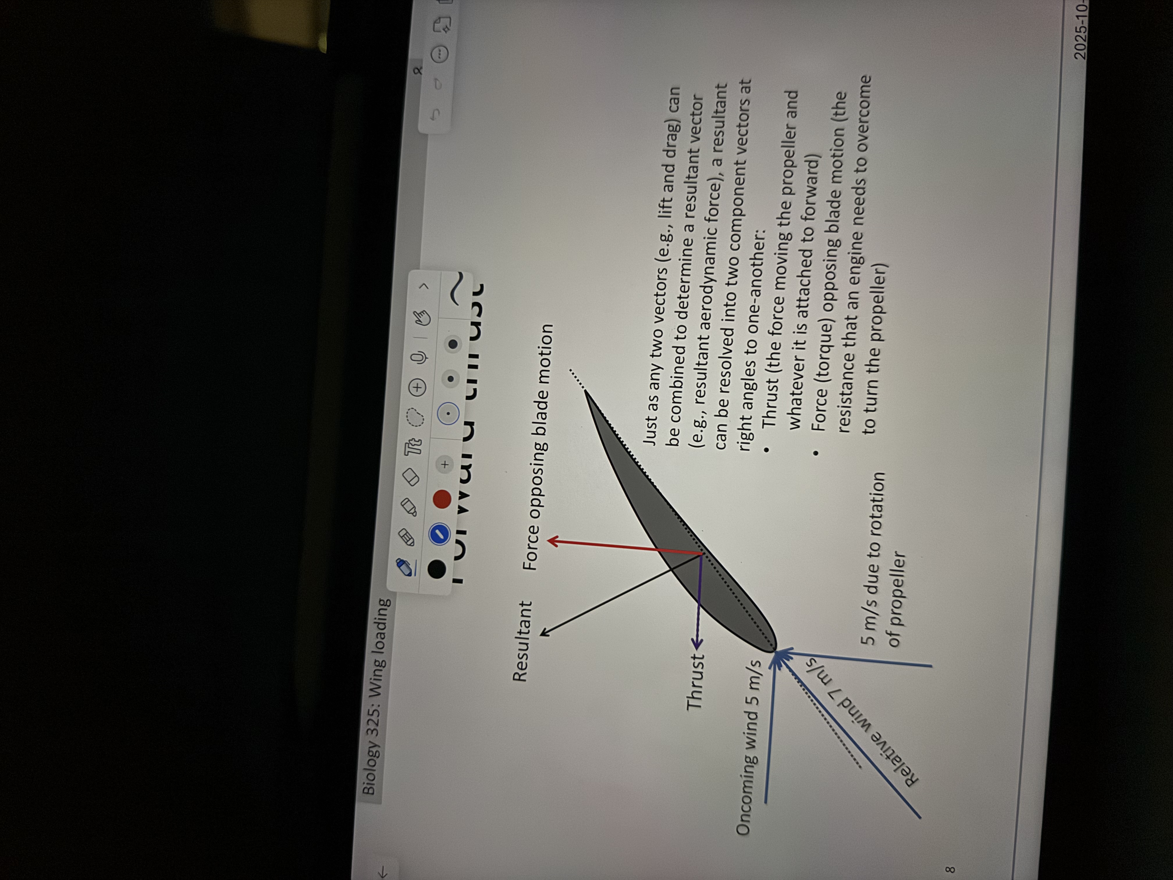 <ul><li><p>Component of the aerodynamic resultant directed forwards </p></li></ul><p></p>