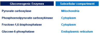 <p>Different subcellular compartments for the steps&nbsp;</p>