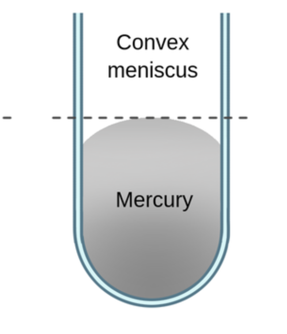 <p>cohesive forces are greater than adhesive forces, liquid does NOT bond to surface bonds internally instead </p>