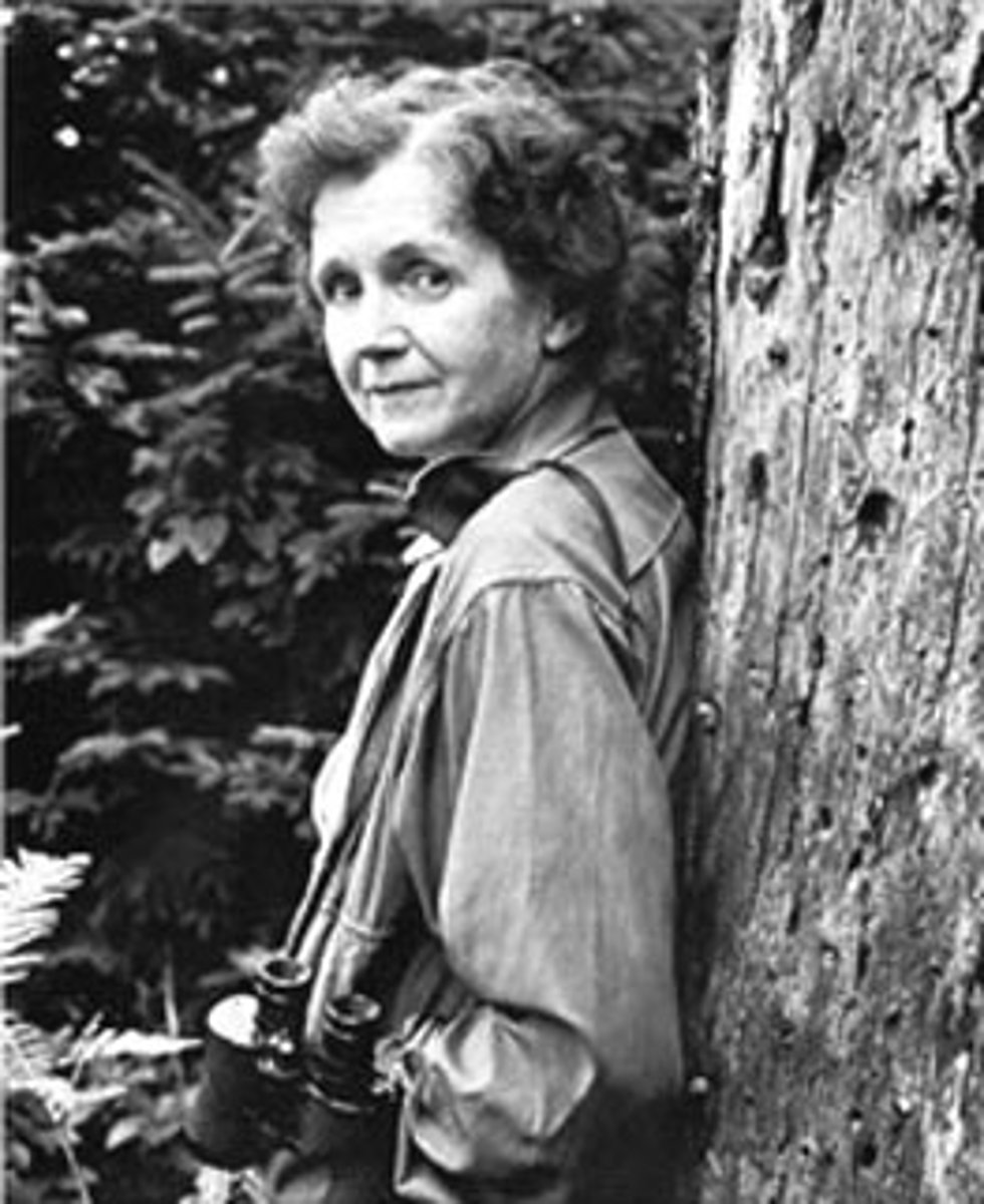 <p>biologist and author of Silent Spring; helped influence environmental awareness and banning of DDT; credited with starting the modern environmental movement</p>