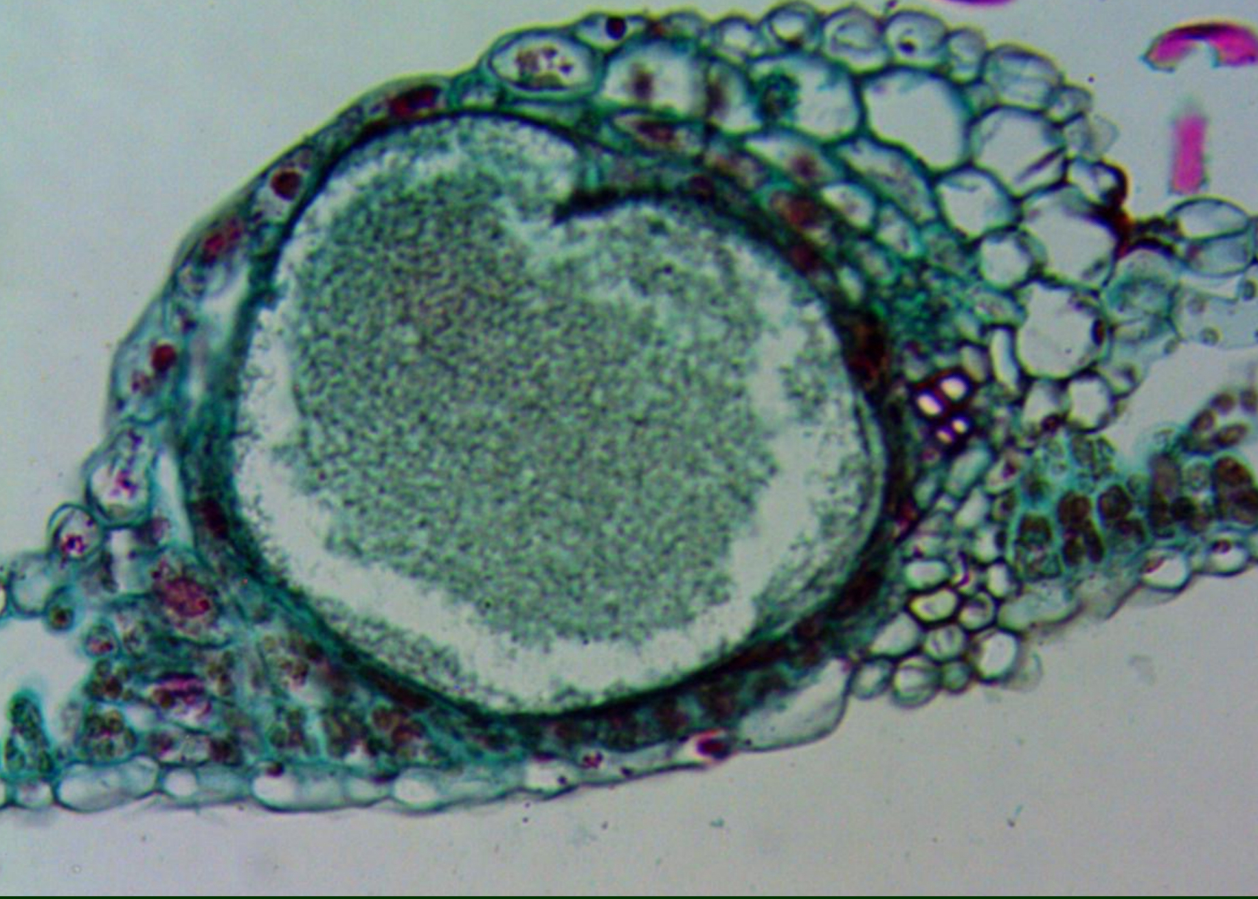 <p>What is this structure and what is happening </p>
