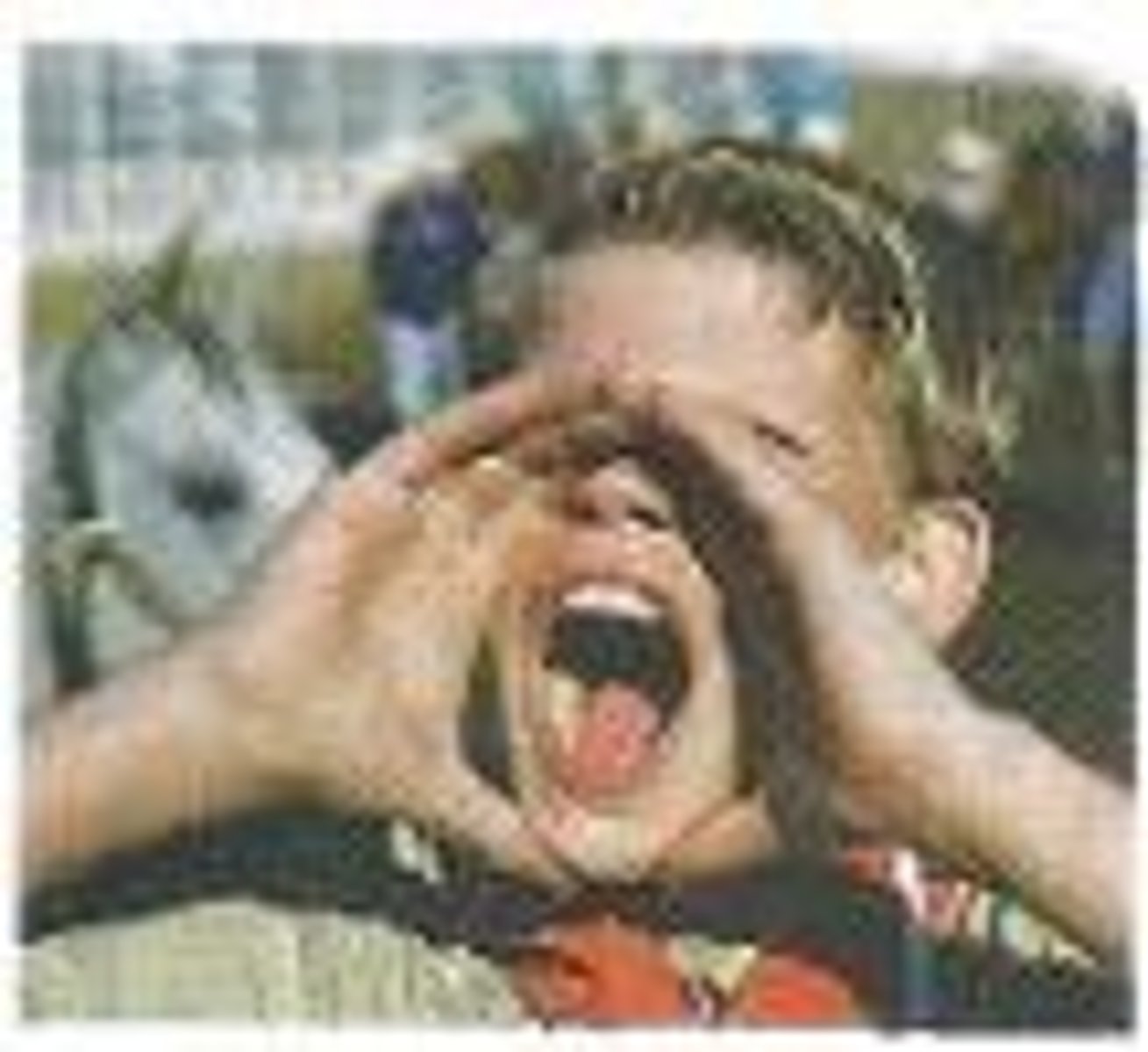 <p>tiếng ồn lớn</p>