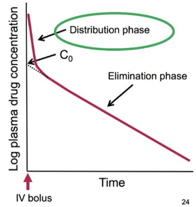 <p><span><span>Initial plasma concentration of the drug. Obtained&nbsp;by extrapolating the elimination phase back to t = 0 (when the drug is first administered). This is easiest to measure after IV administration, since the drug enters the plasma immediately (no first-pass).</span></span></p>