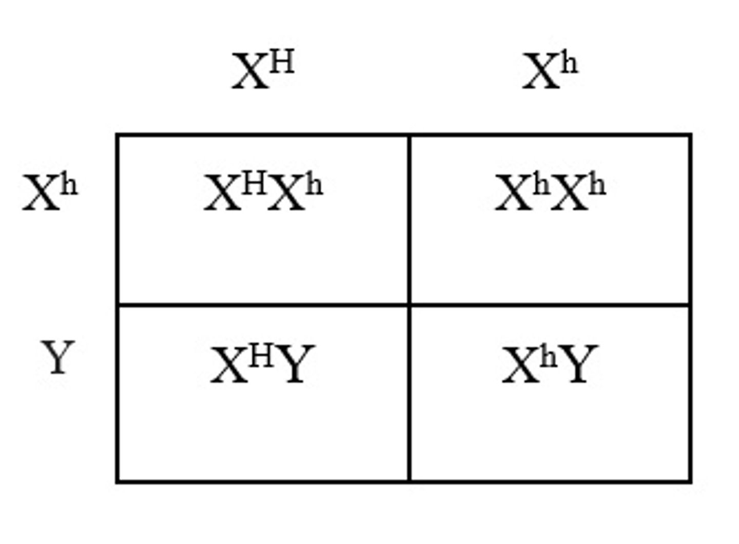 <p>B.25%</p><p>Hemophilia is a condition where the ability of the body to form blood clots is severely reduced. A female carrier for hemophilia will have the genotype XHXhand a man with hemophilia will have the genotype XhY. The offspring of these individuals will be 25% XHXh, 25% XhXh, 25% XHY, 25% XhY. Therefore, there is a 25% chance of having a daughter with hemophilia.</p>