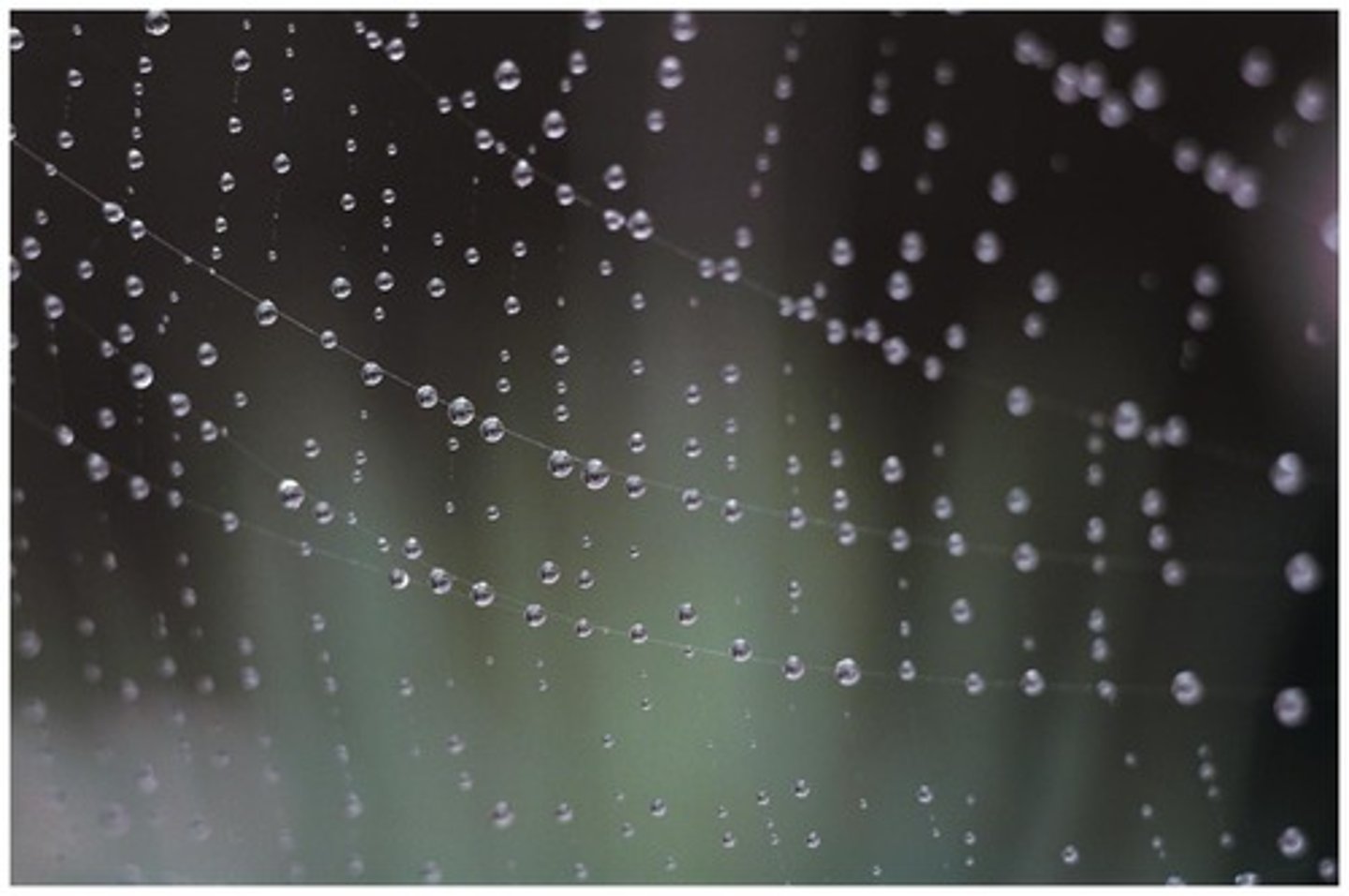 <p>The cohesive force at the surface of a liquid that causes it to behave as an elastic sheet.</p>