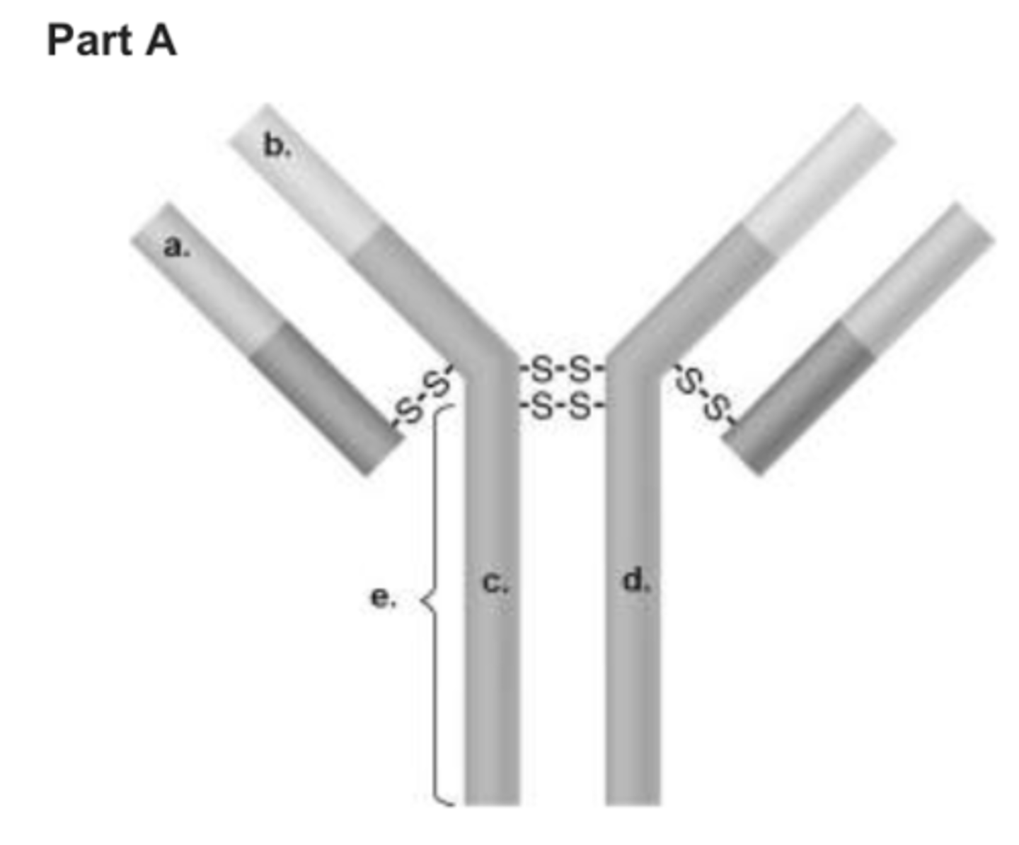<p>c and d</p>