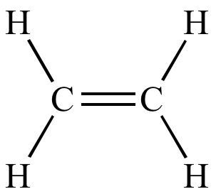 <p>Class, functional group</p>