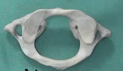 <p>What is this?</p>