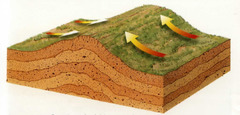 - Tectonic plates collide, forcing up rock layers that form mountains
- P cycle restarts
