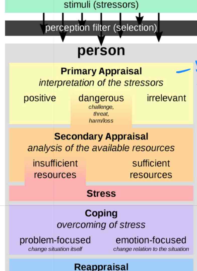 <p>Environment- stimuli stressors </p><p>Perception filter (selection )</p><p>Person :</p><p>Primary Appraisal : Your interpretation of the stressors : positive, dangerous , irrelevant </p><p>Secondary Appraisal: analysis of the available resources ; insufficient resources , sufficient resources </p><p>Stress: </p><p>Coping: overcoming stress;</p><p> problem focused- change situation itself </p><p> emotion focused - change relation to the situation </p><p>Reappraisal- pacing and learning , ongoing constant evaluating stressor </p>