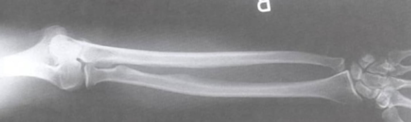 <p>What view is this?</p>