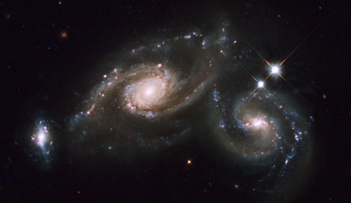 <p>the Universe</p>