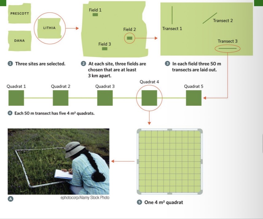<p><span><span>collecting data at multiple spatial scales at randomly chosen locations allows understanding how community composition might vary across different areas.</span></span></p>