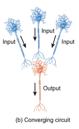 explain a converging circuit