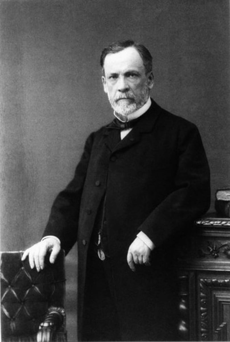 <p>A French chemist who discovered that life could exist in the absence of oxygen</p>
