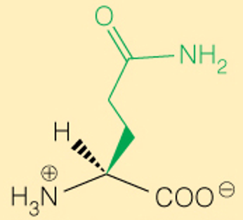 <p>Full</p>