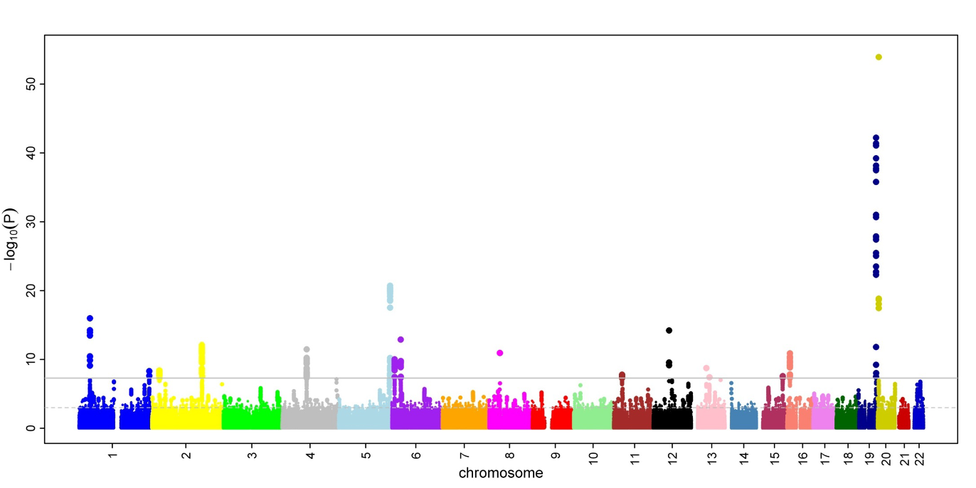 <p>→ shows the output of GWAS</p>