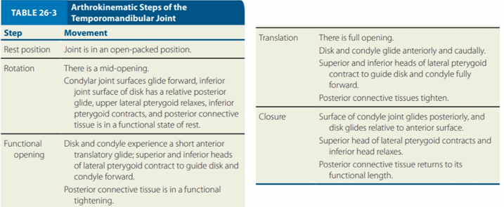 <p>Translation</p>