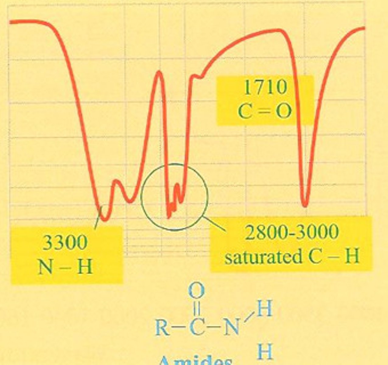 <p>Amide (C - - O)</p>