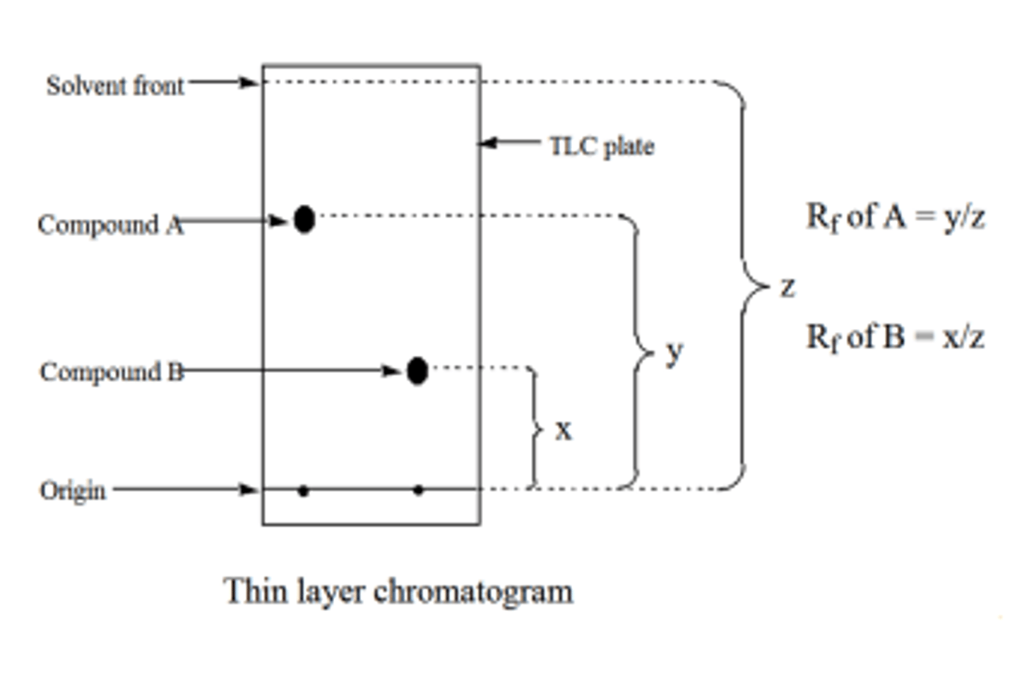 <p>Thin-layer chromatography consists of a small sheet of medium that is coated in an adsorbent material, such as silica gel. </p><p>The polar silica is the stationary phase. The molecules of interest are added to the bottom of the sheet and the sheet is placed in a non-polar liquid, such as heptane, until it reaches the origin. The mobile phase then travels up the plate using capillary action, allowing the molecules to move with it if they are relatively non-polar. The spots are then visualized using UV light.</p><p>The relative distances traveled between the molecules is represented by the Rf value, which is measured as the ratio of the distance the molecule traveled from the origin to the distance the solvent front traveled from the origin.</p>