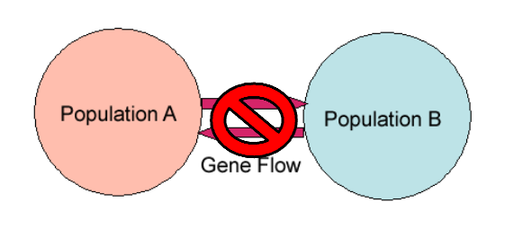 <p><span style="color: rgb(255, 255, 255);">Species are groups of actually or potentially interbreeding</span><span style="color: rgb(255, 255, 255);"><br></span><span style="color: rgb(255, 255, 255);">populations that are reproductively isolated from other such groups</span></p>