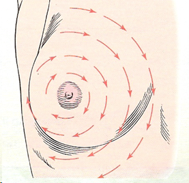 <p>palpating in concentric circles out to the periphery</p>