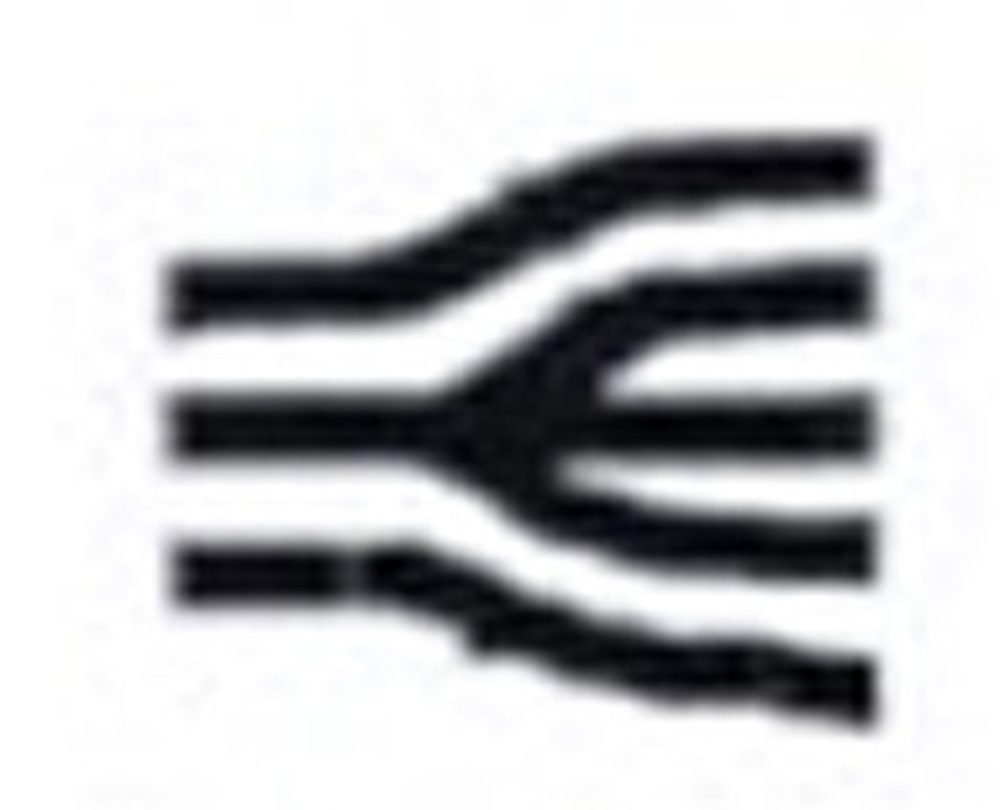 <p>Splitting into three branches</p>