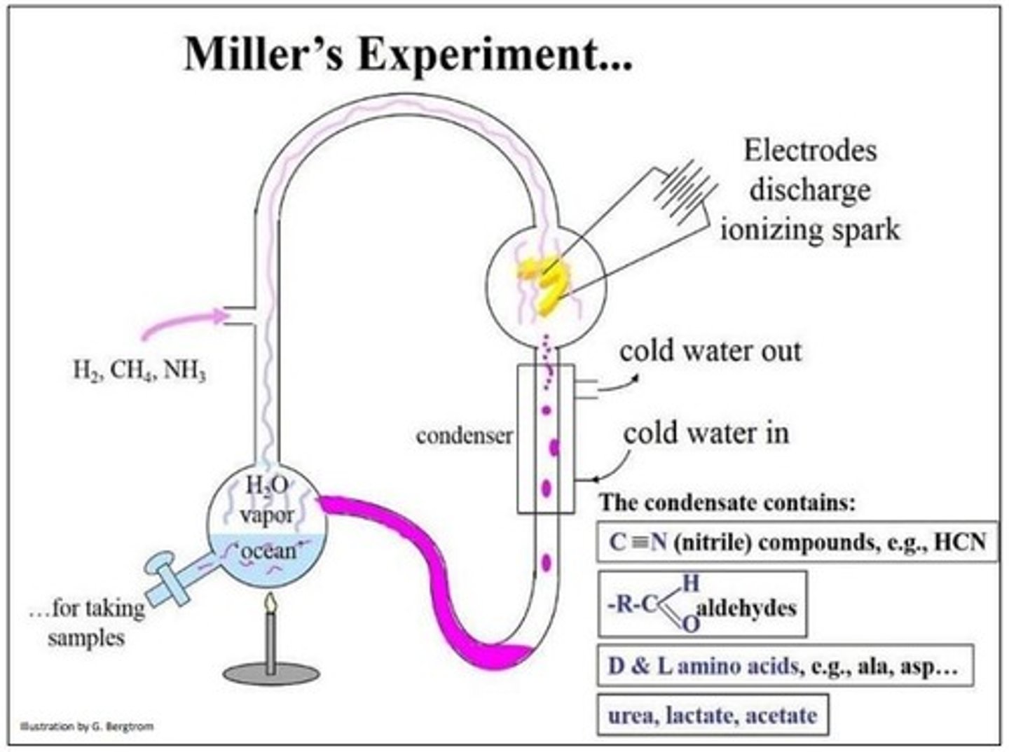 <p>1. ammonia</p><p>2. methane</p><p>3. water</p><p>4. hydrogen</p>