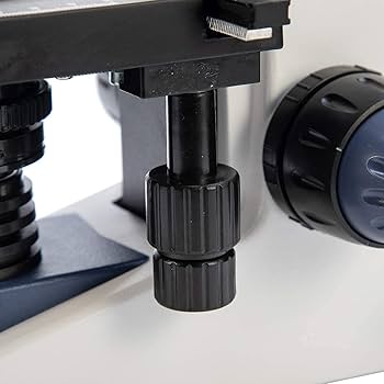 <p>The knobs used to move the stage horizontally or vertically, enabling precise positioning of the specimen under the objectives. </p>