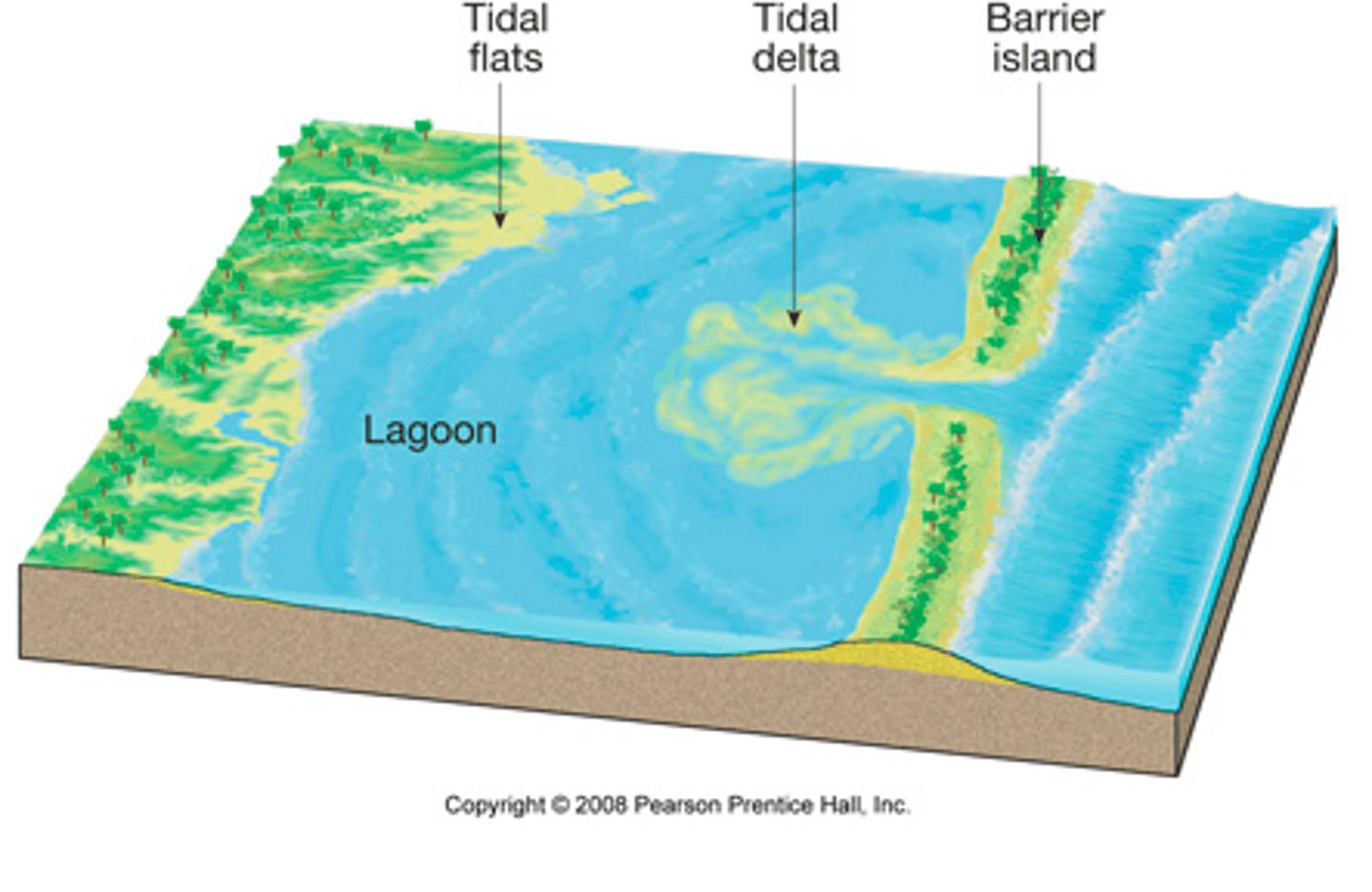 <p>= lanyard side of a barrier island so it is protected from large waves <br><br>... low energy environment, fine mud deposits form tidal flats</p>