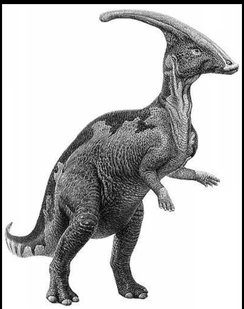 <p>her favorite dinosaur is the parasaurolophus </p>