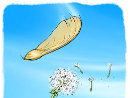 <p><span style="background-color: transparent;"><strong><span>1. Protection of Seeds</span></strong></span></p><p><span style="background-color: transparent;"><strong><span>2. Dispersal of Seeds</span></strong></span></p>