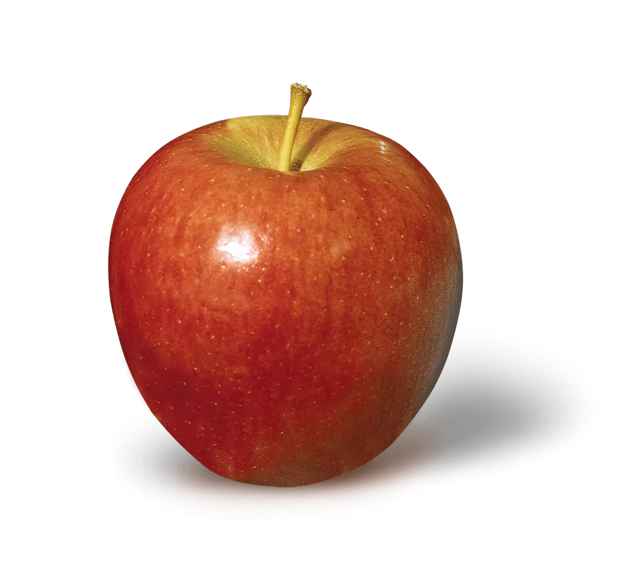 <p>Apples, Braeburn</p>