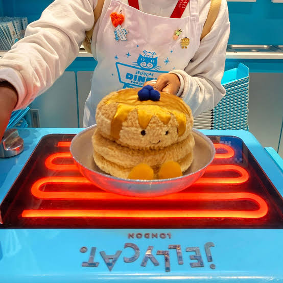 <p>sees</p><p>Norah sees the Jellycat dinner in New York.</p>