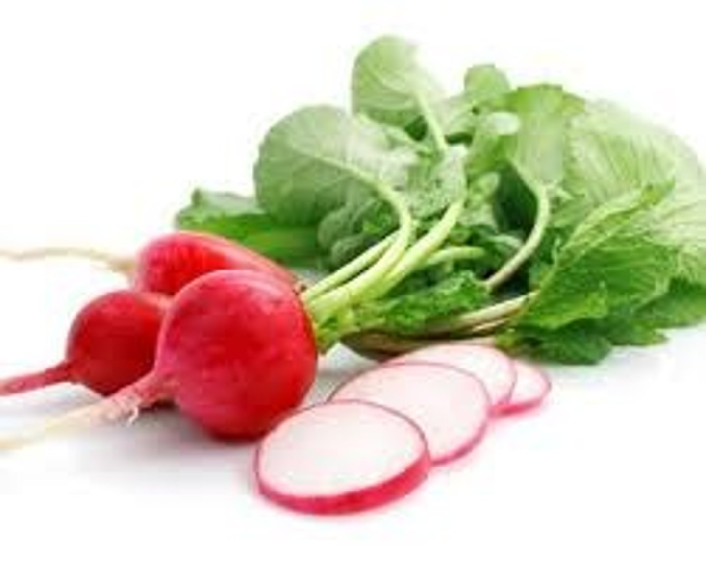 <p>radish</p>
