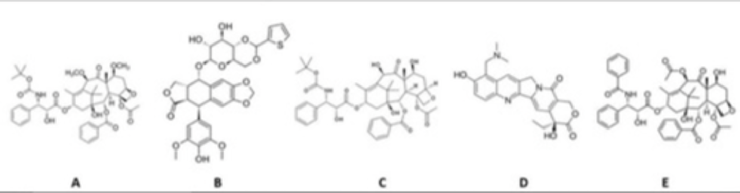 <p>Which of these agents are NOT taxane mitosis inhibitors?</p>