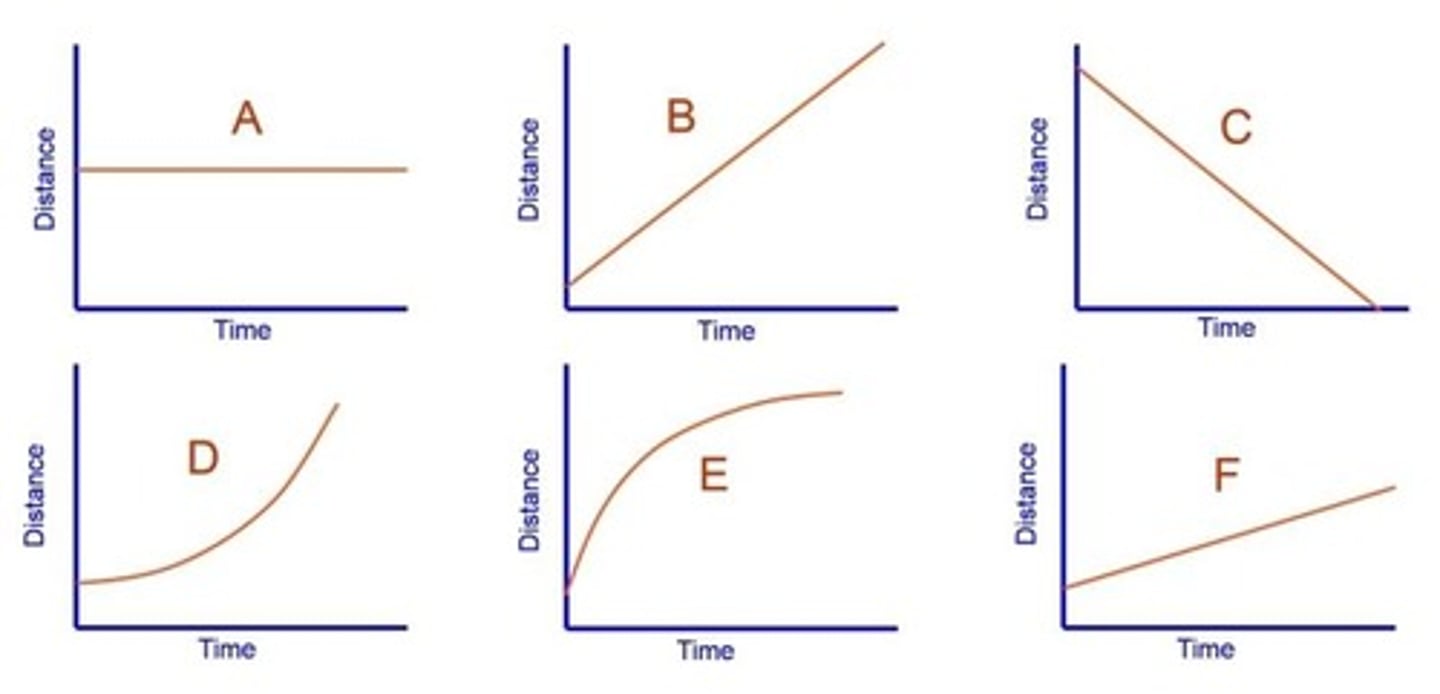 <p>Which graph(s) show acceleration?</p><p>a. F</p><p>b. D</p><p>c. B & C</p><p>d. D & E</p>