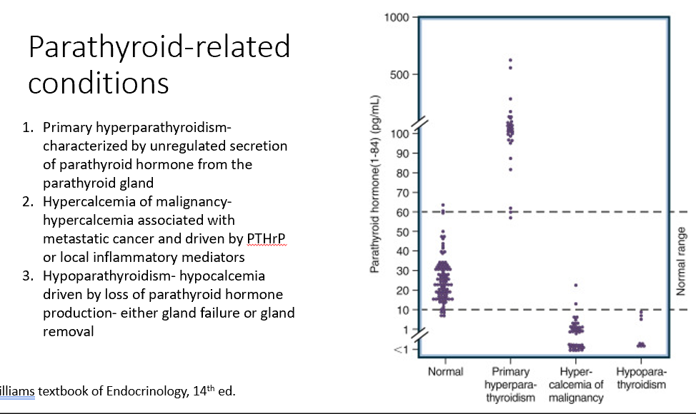 <p>Primary hyperparathyroidism</p><p>Hypercalcemia of malignancy</p><p>Hypoparathyroidism</p>