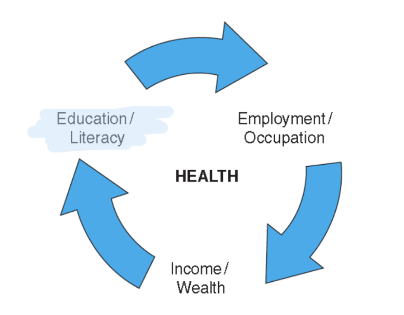 <p>Occupation (employment status), Education, Socioeconomic Position (income, wealth)</p>