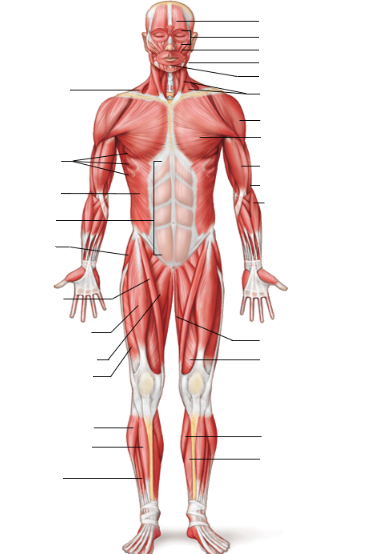 <p>Label the following:</p>