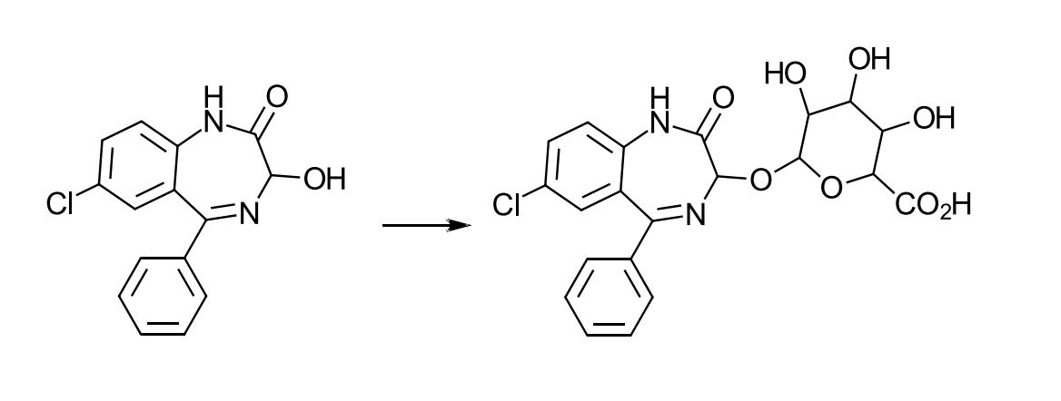 <p>what’s the metabolism and which phase is shown in this figured?</p>
