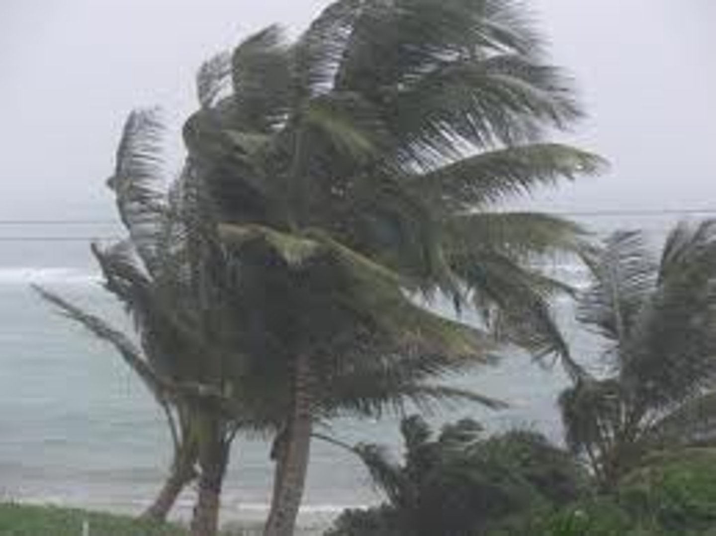 <p>it's windy</p>