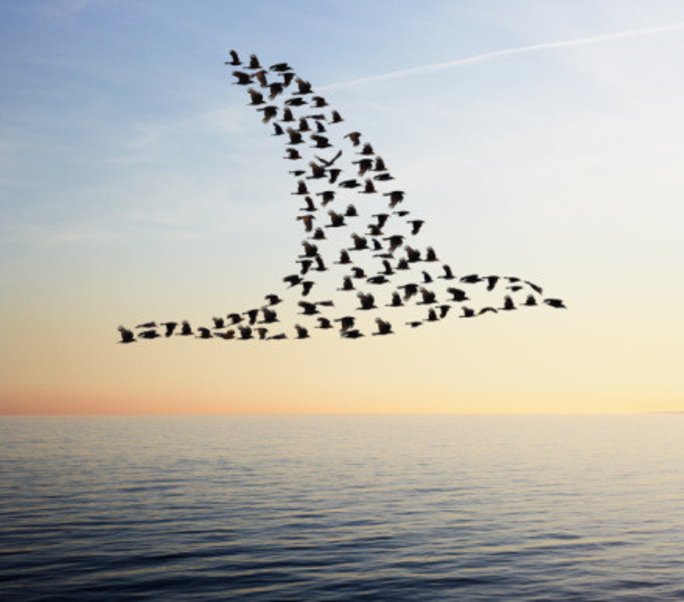 <p>the movement of people from place to place</p>