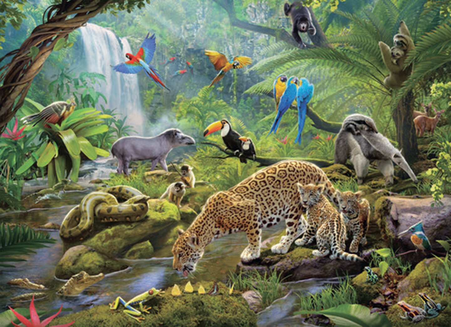 <p>Forest and jungle animals</p>