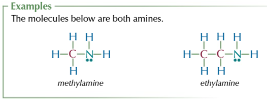 <p>R3N, where R could be Hydrogens or another group</p>
