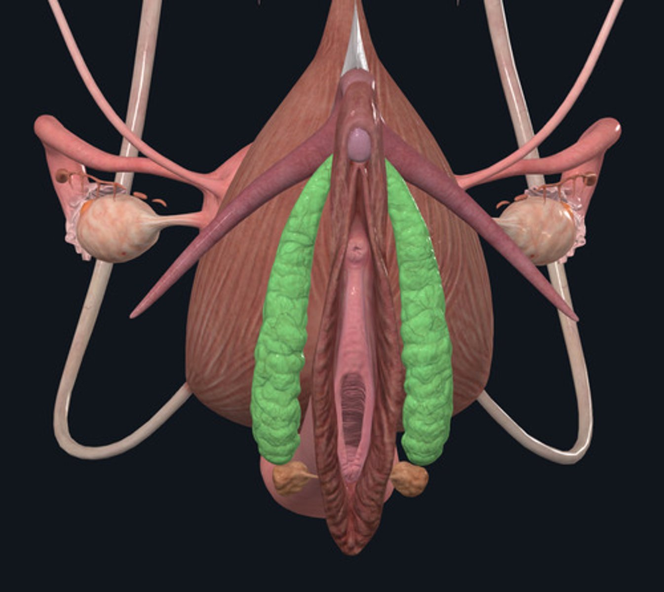 <p>ID Structures Highlighted Green</p>